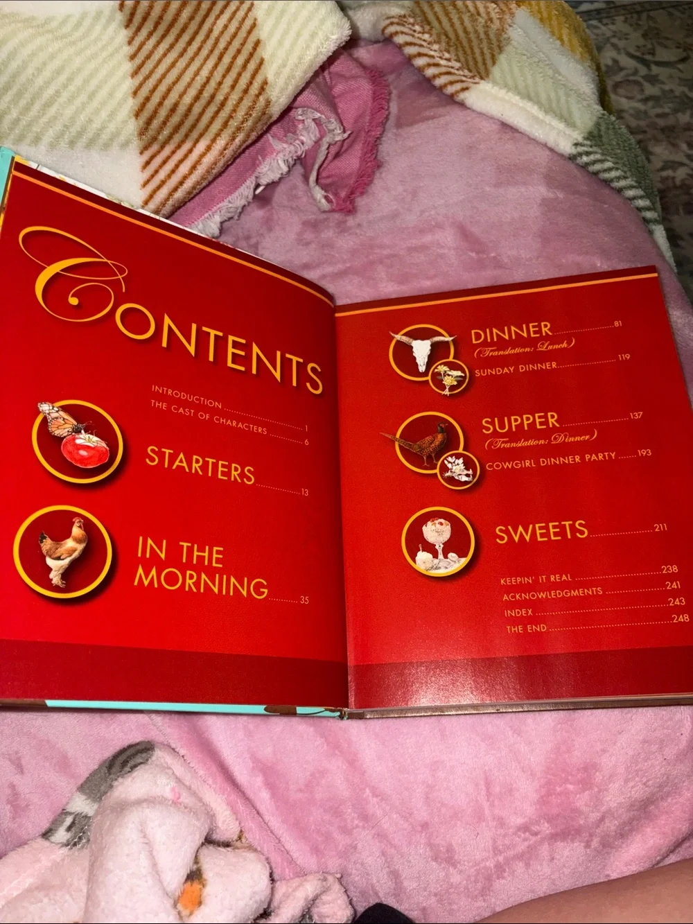 The Pioneer Woman Cooks Hardcover Cookbook - Accidental Country Girl NWT